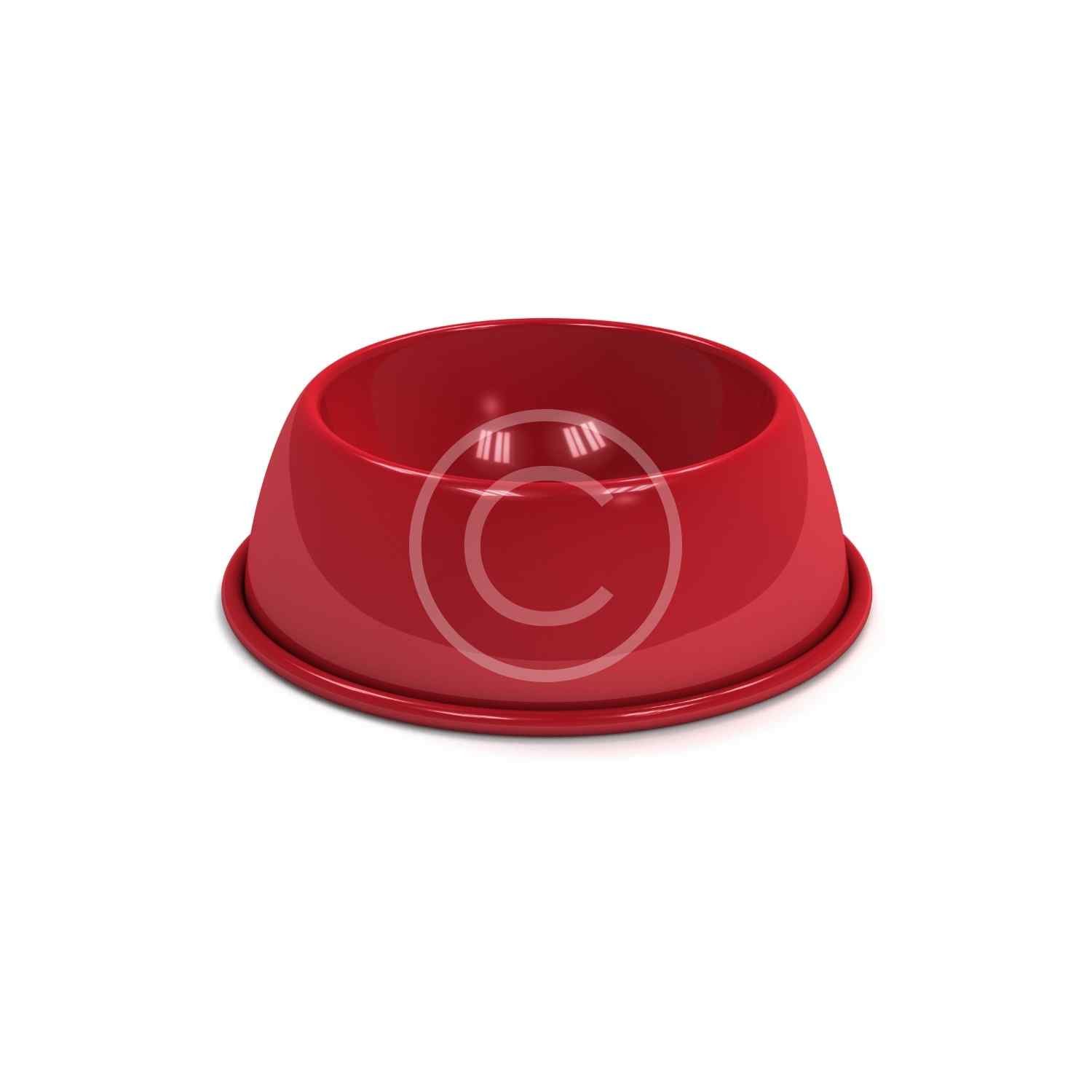 Water Bowl - Image 2